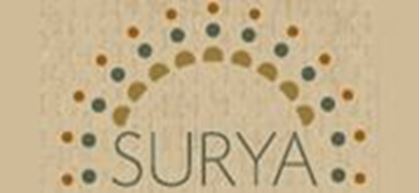 Picture for manufacturer Surya