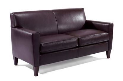 Digby Two-Cushion Leather Sofa 3966-30
