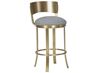 Wesley Allen Baltimore Gold Stainless Steel Bar Stool (BSS507H26S)